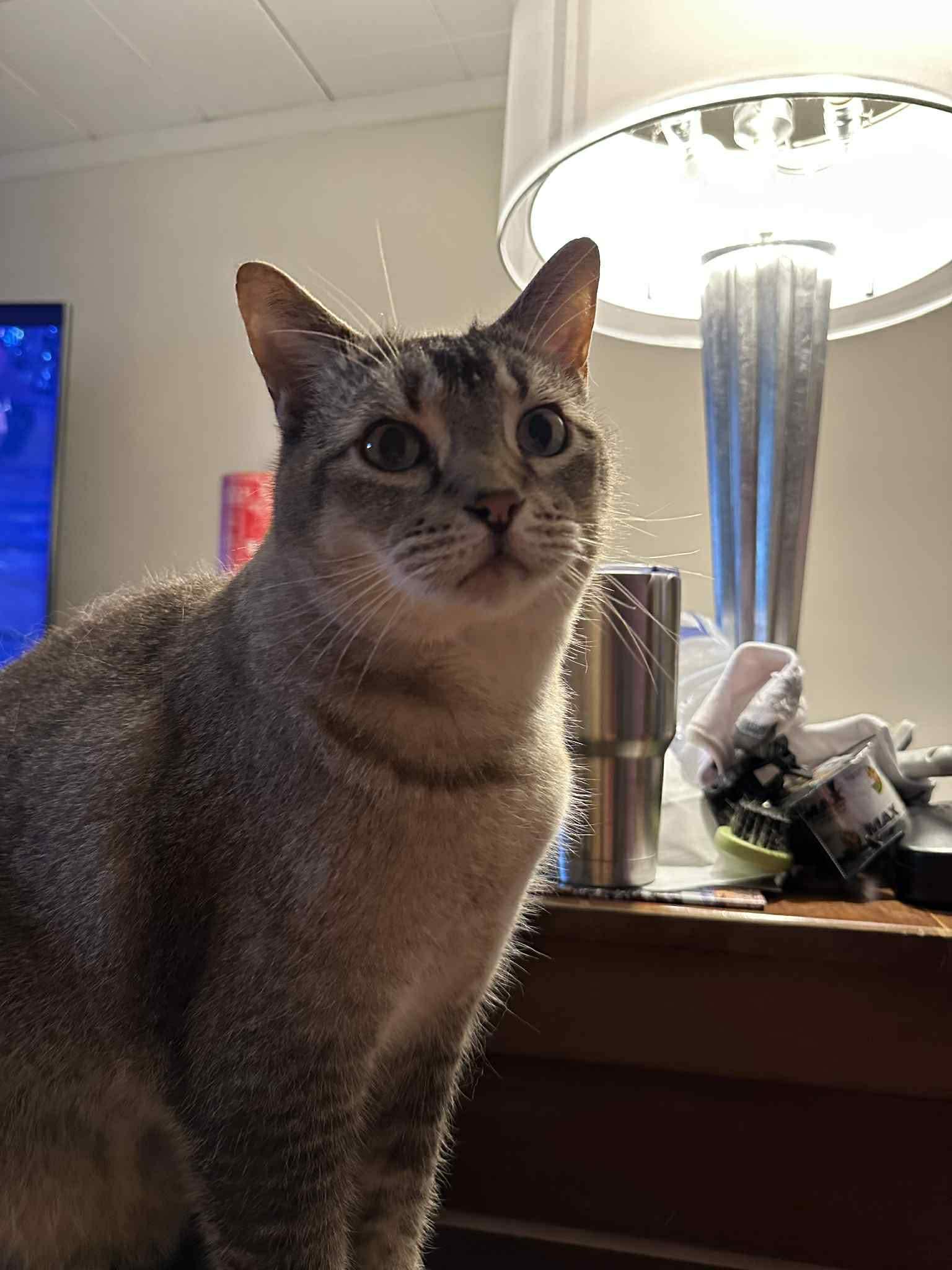 Sasha And Oliver thumbnail 3