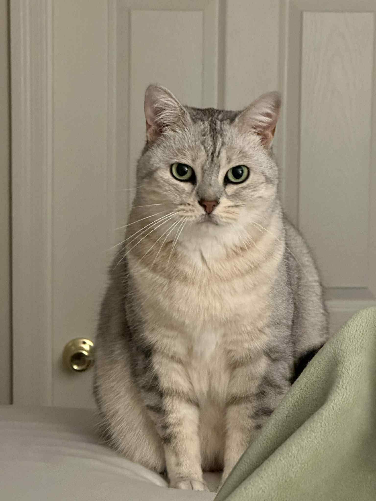 Sasha And Oliver thumbnail 4