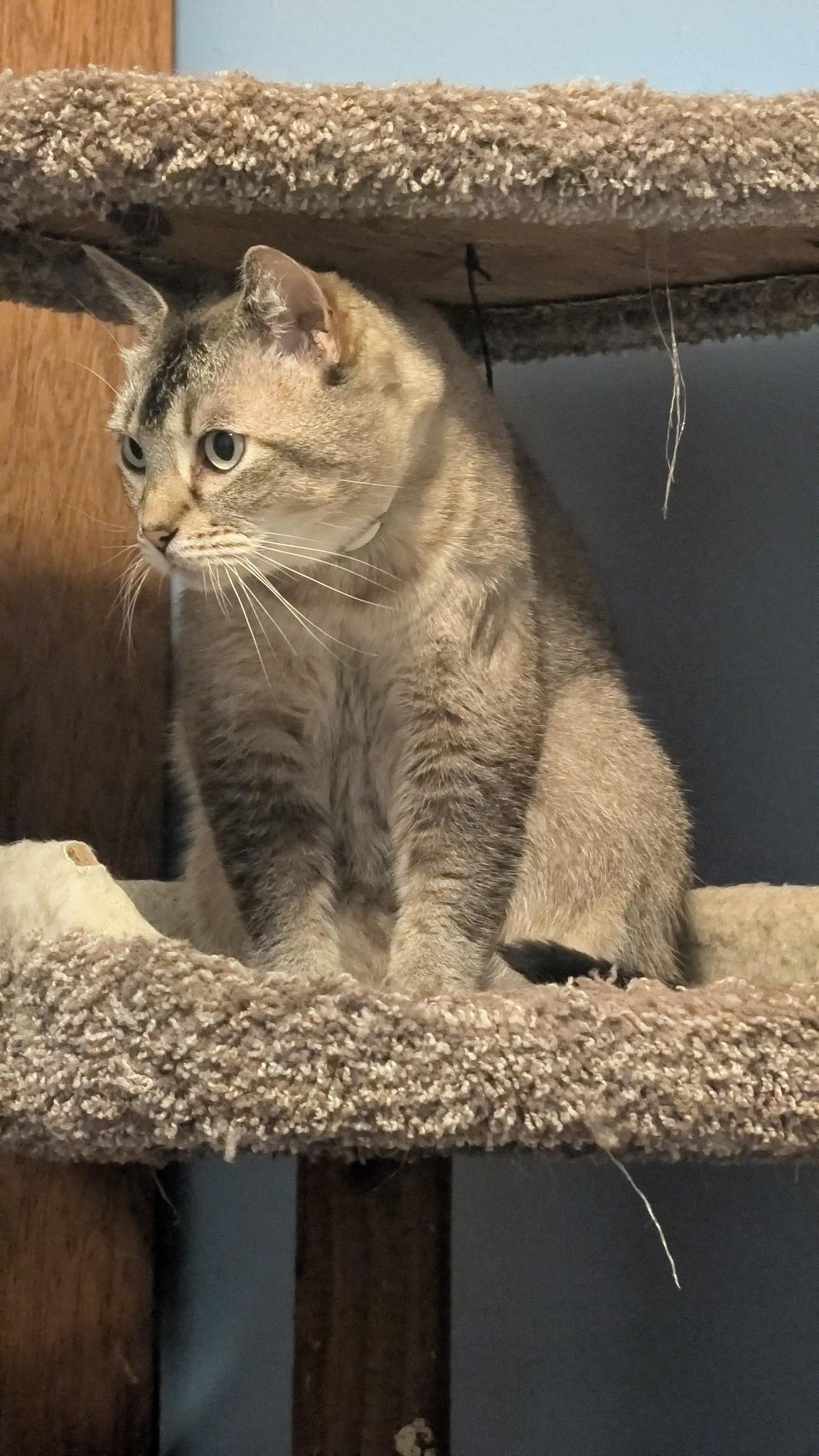 Sasha And Oliver thumbnail 5