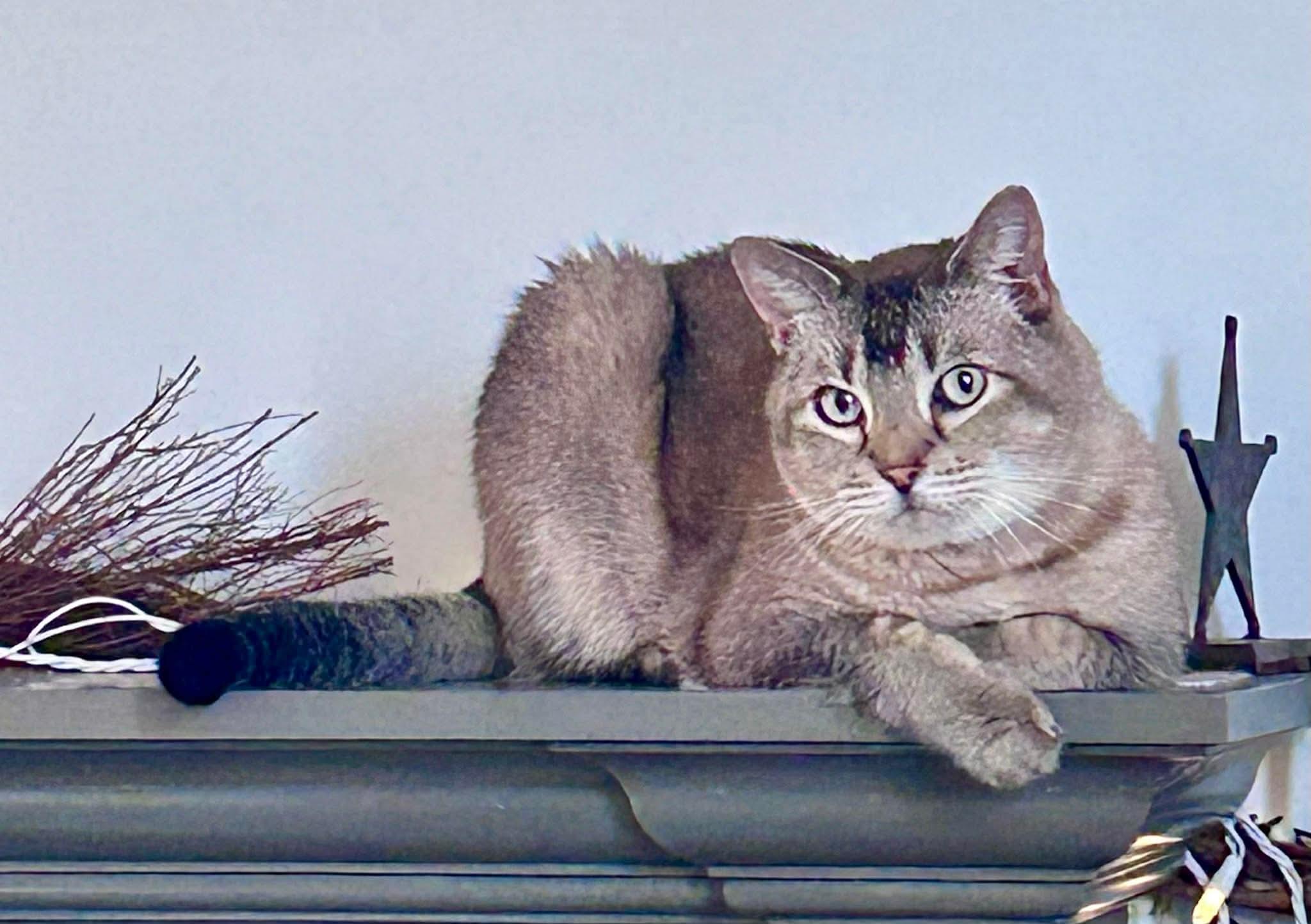 Sasha And Oliver thumbnail 6