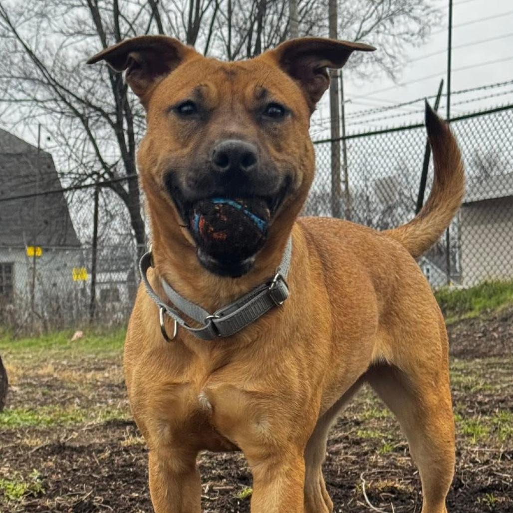 Reba Fka Donna thumbnail 2