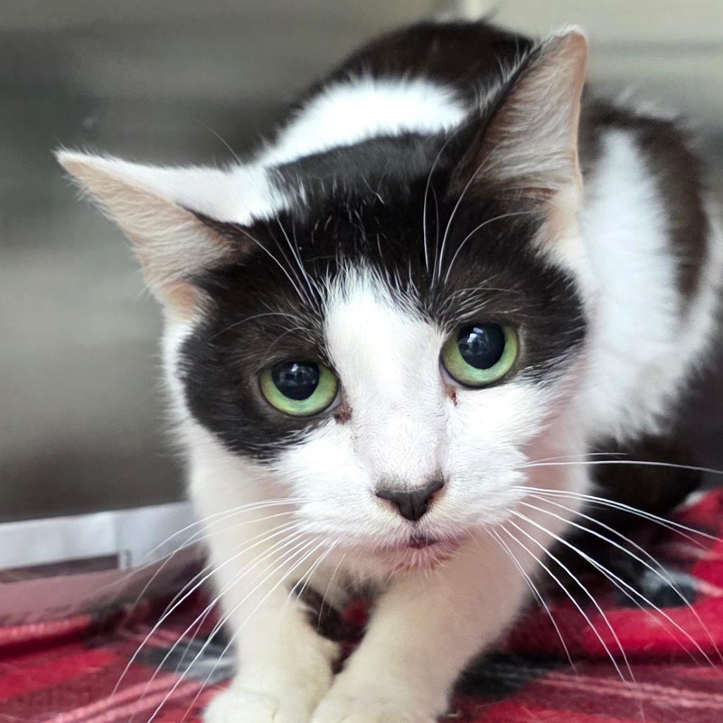 Eva Mendes thumbnail 2