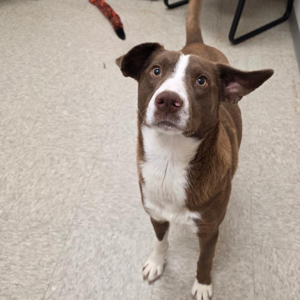 Fluorite thumbnail 2