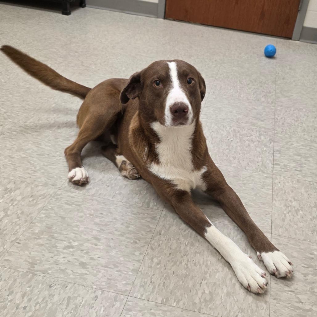 Fluorite thumbnail 3