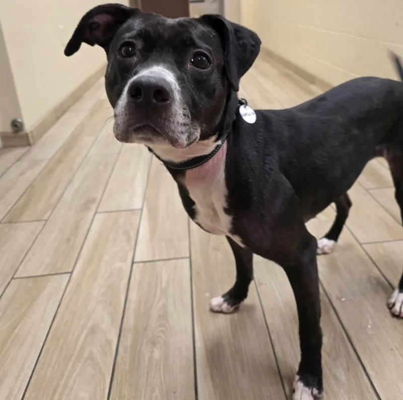 Charlotte thumbnail 5