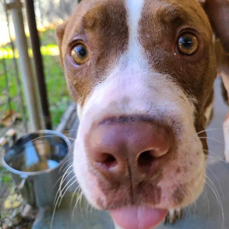 Dejay Miles thumbnail 2