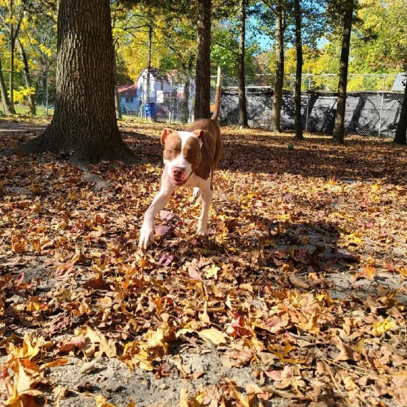 Dejay Miles thumbnail 3