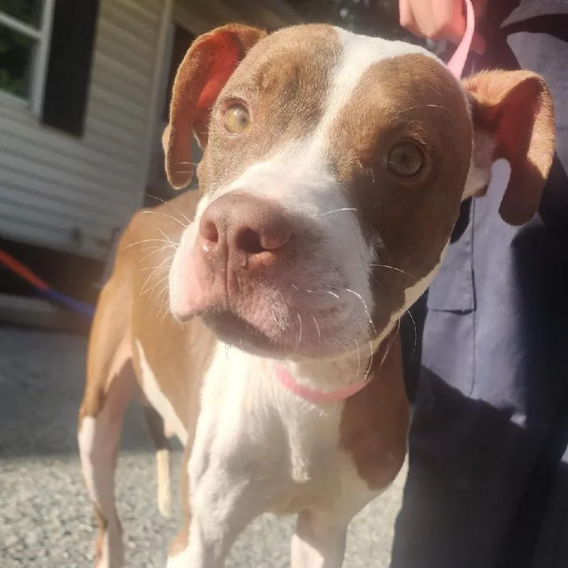 Dejay Miles thumbnail 4