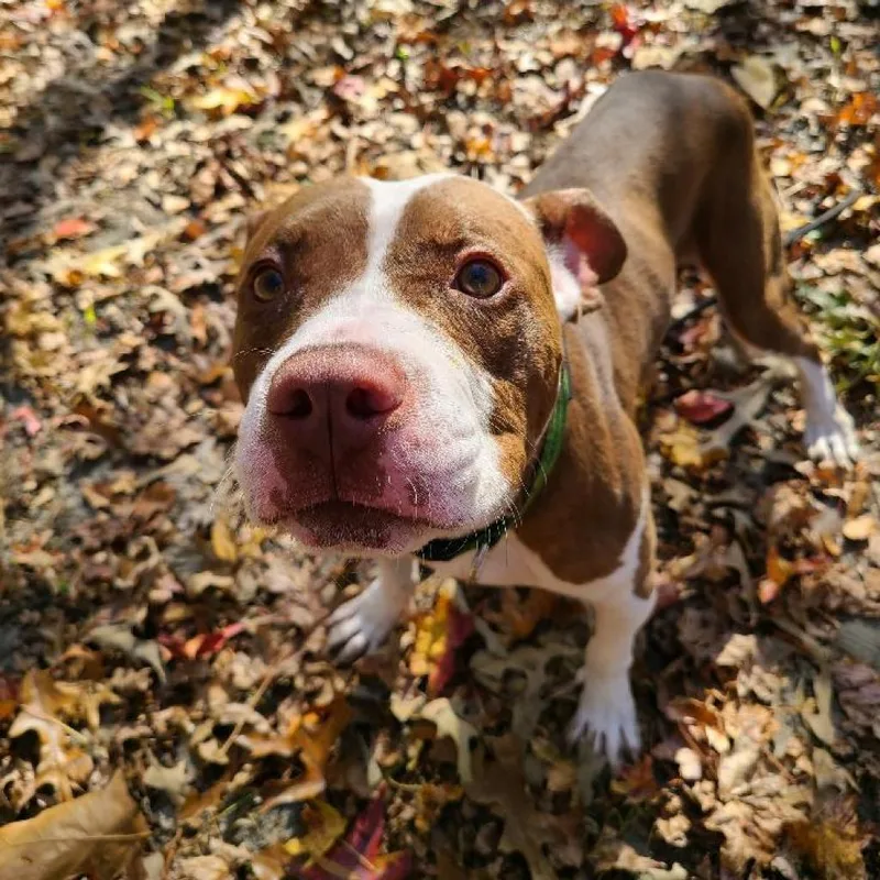 Dejay Miles thumbnail 5