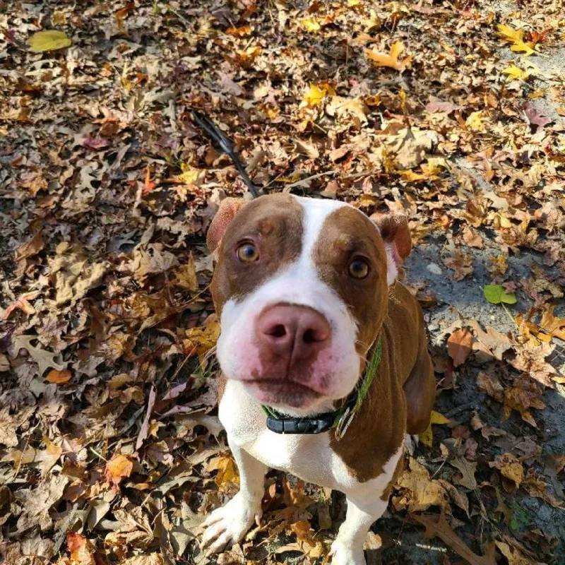 Dejay Miles thumbnail 6