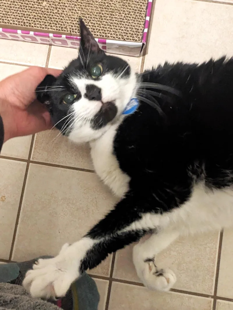 Peanut thumbnail 3