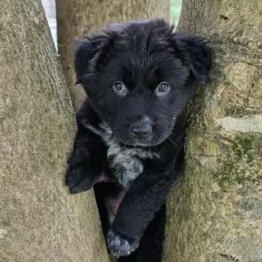 Wonderful Wyatt thumbnail 2