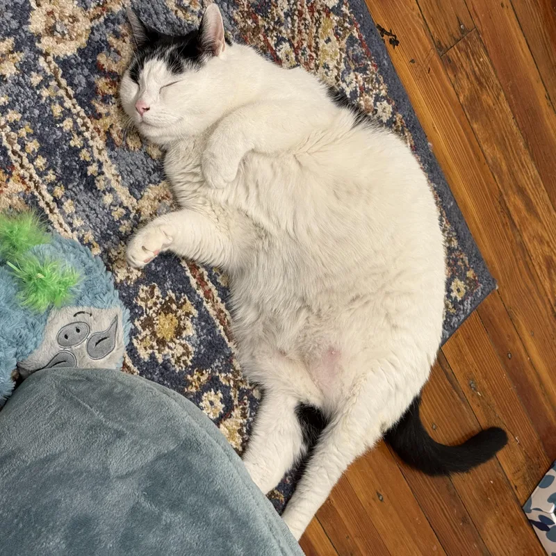 Big Louie thumbnail 2