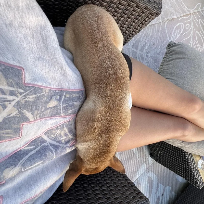 Canela thumbnail 5