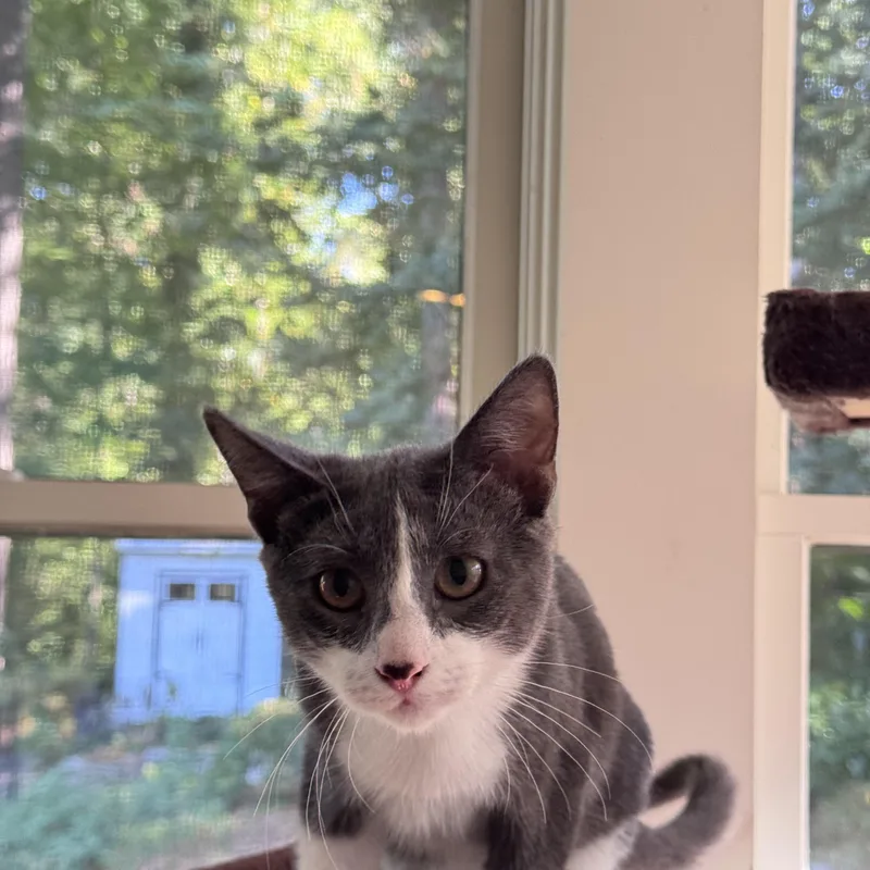 Leo & Spencer thumbnail 3