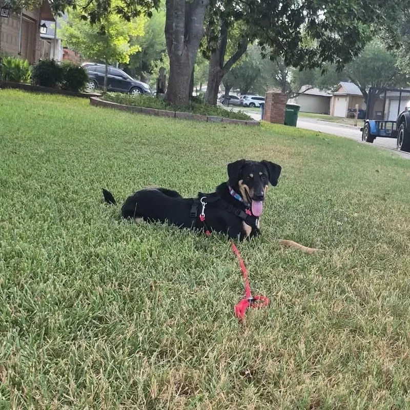 Murphy