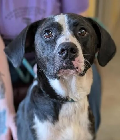 Anissa thumbnail 2