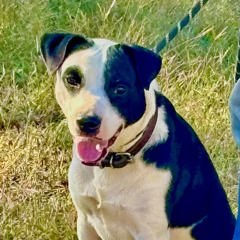 Memphis Urgent thumbnail 3