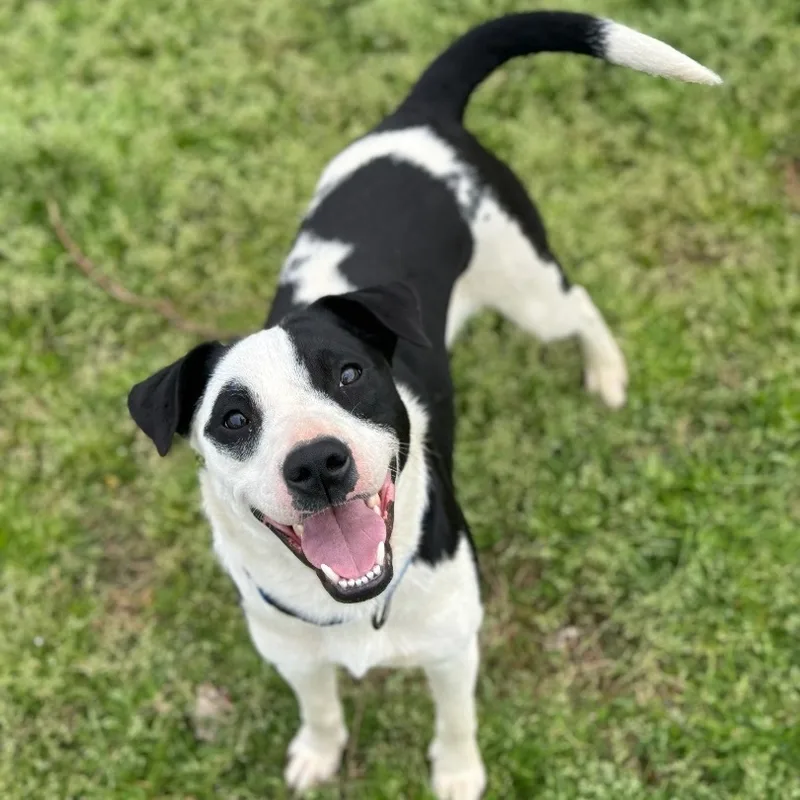 Memphis Urgent thumbnail 5