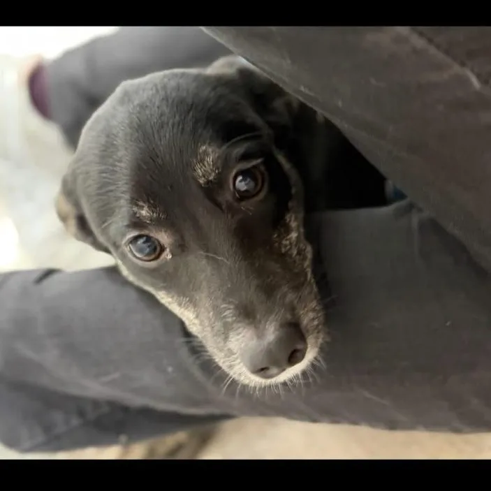 Gwen thumbnail 6