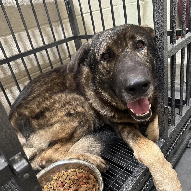 Baby Huey thumbnail 2