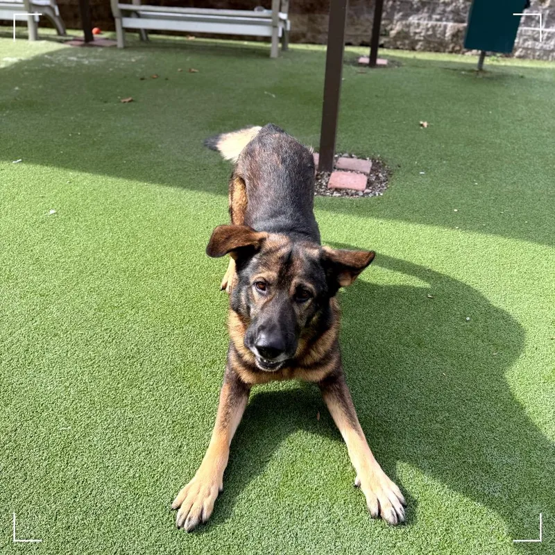 Baby Huey thumbnail 3