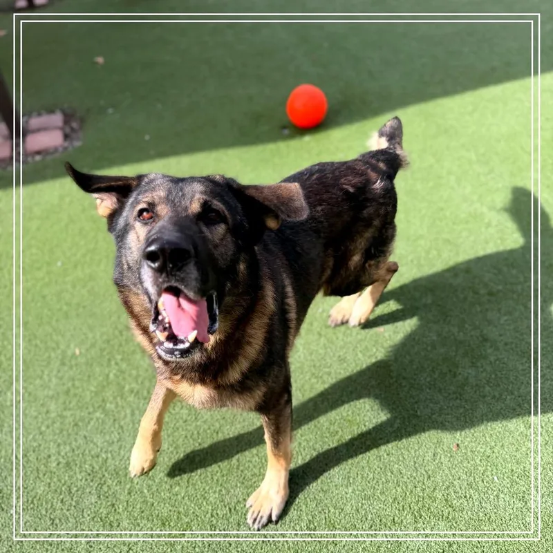 Baby Huey thumbnail 5