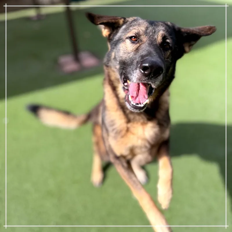 Baby Huey thumbnail 6