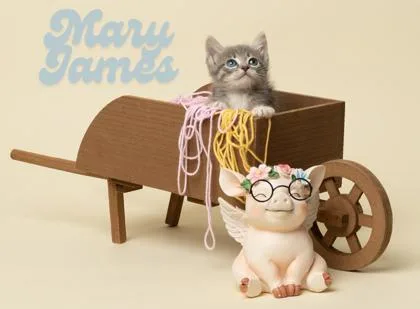 Mary James thumbnail 2
