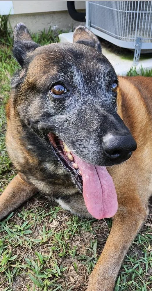 Tyson