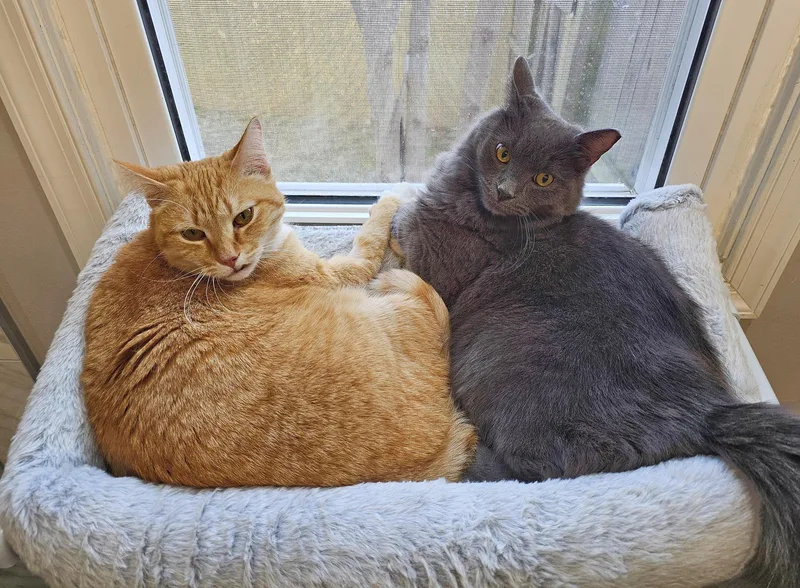 Panchito And Luca