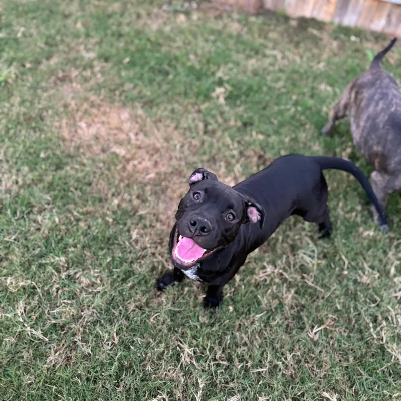 Morgan Freeman thumbnail 2