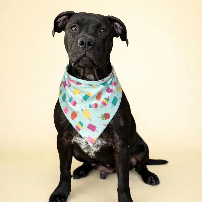 Morgan Freeman thumbnail 3