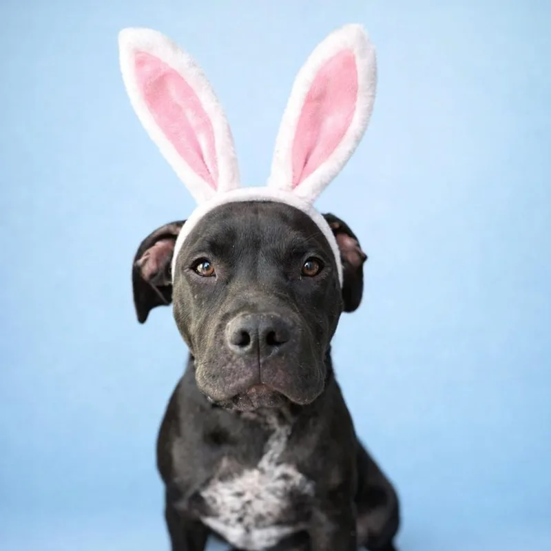 Morgan Freeman thumbnail 4