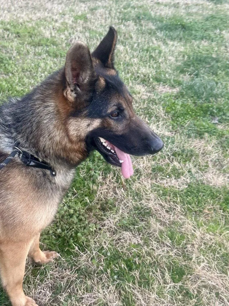 Dq  Big Daddy thumbnail 2