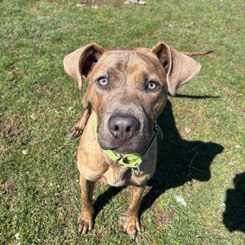 Tompkins thumbnail 4