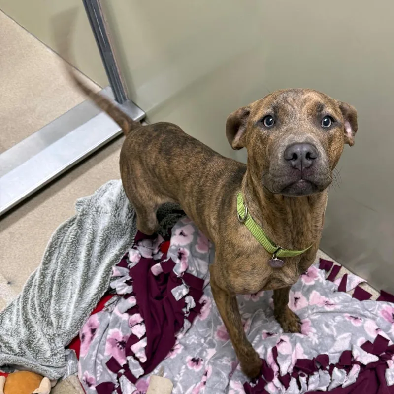 Tompkins thumbnail 6