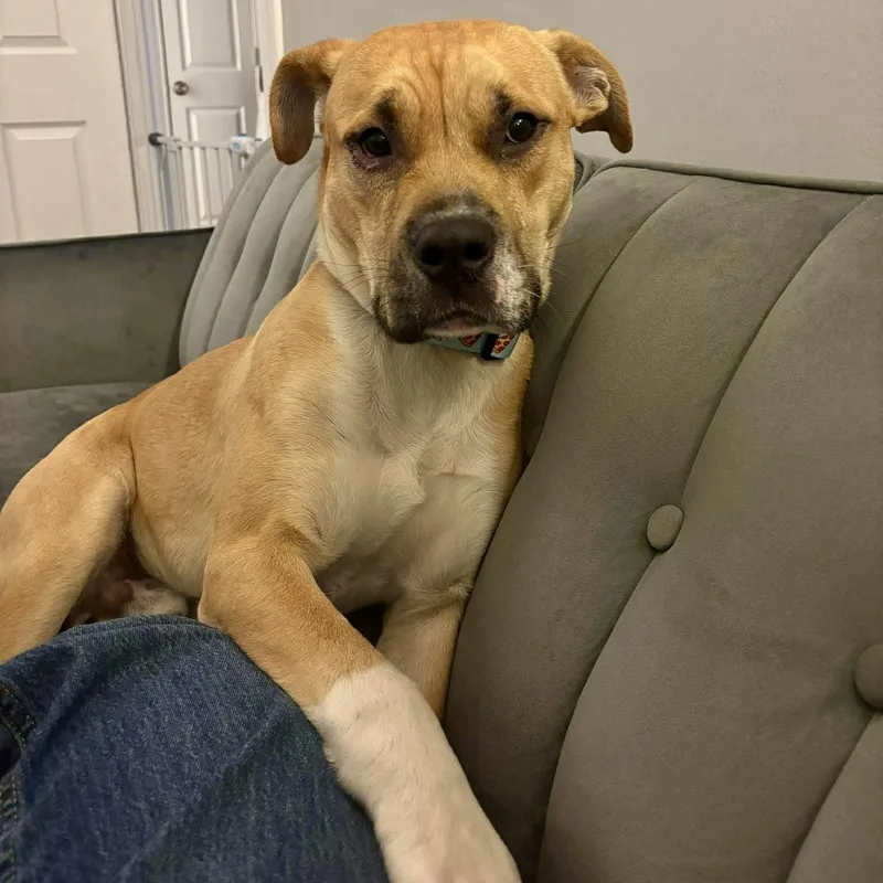 Benson