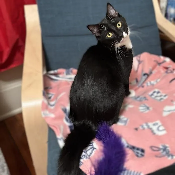 Squidward thumbnail 2