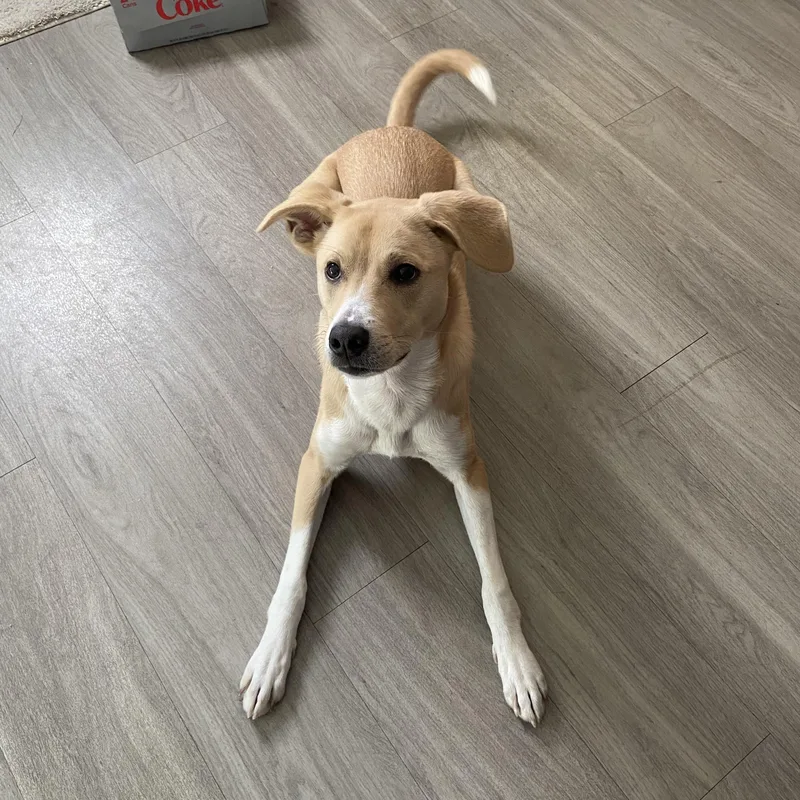 Mary Jane thumbnail 2