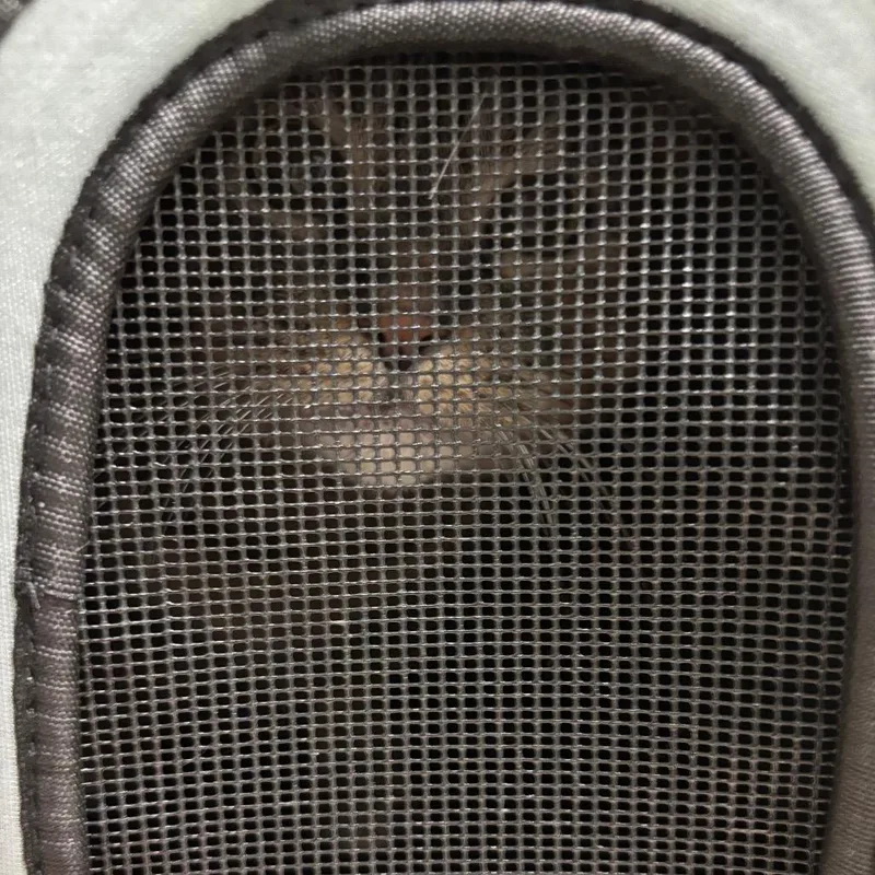 A senior large-sized female Brown / Chocolate Domestic Short Hair cat named Suki for adoption in South Burlington, VT