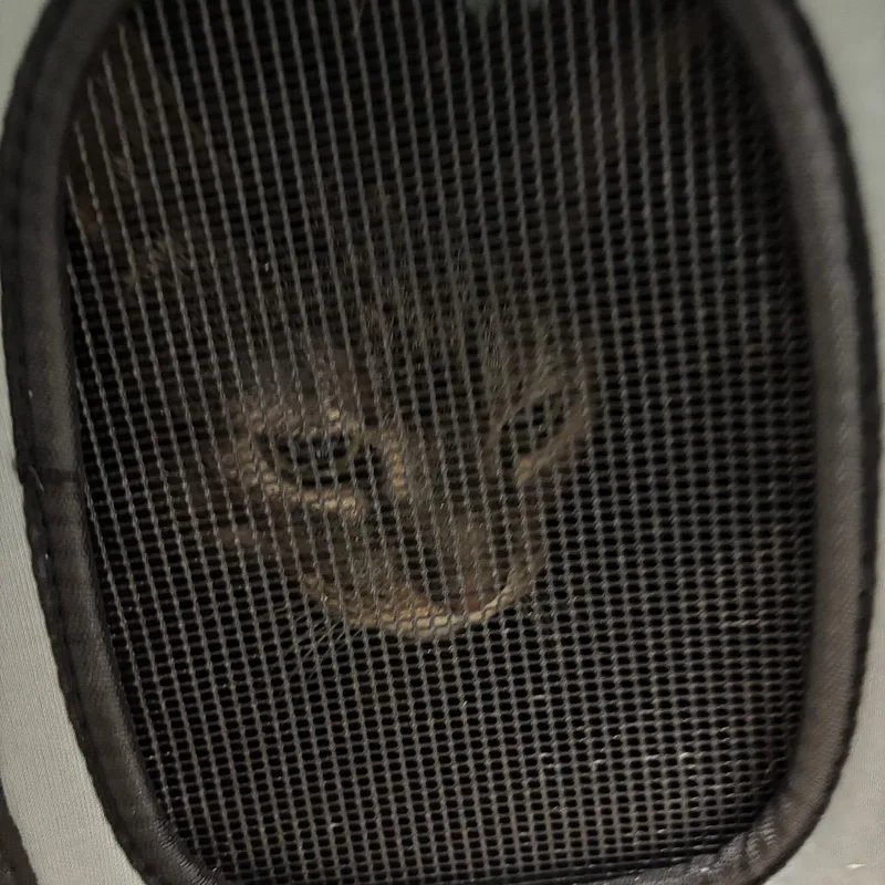 Suki thumbnail 4