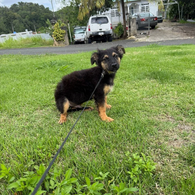 Apple Jack "your Perfect thumbnail 3