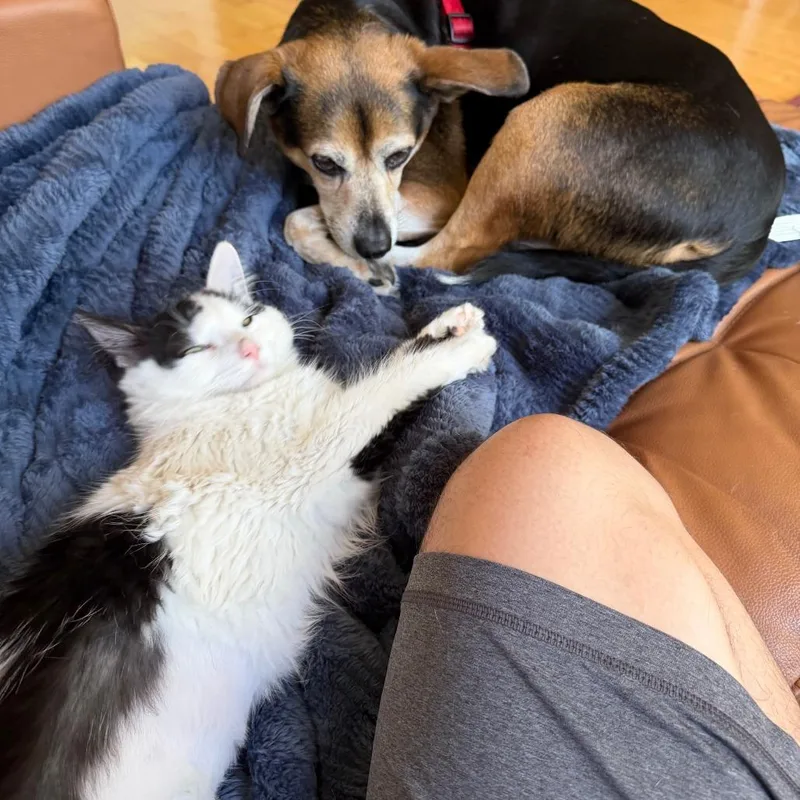 Pepe thumbnail 4