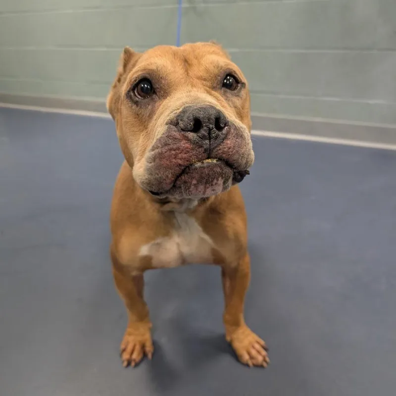 Regina George thumbnail 2