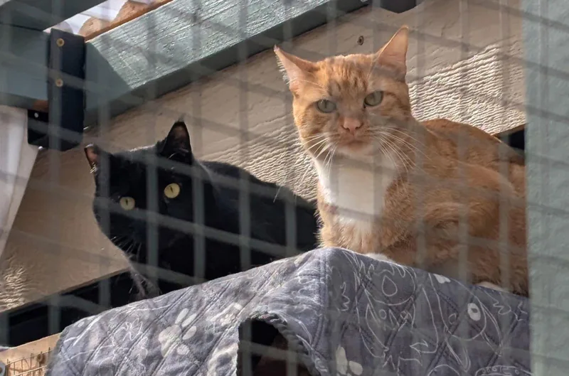 Miller  And  thumbnail 2