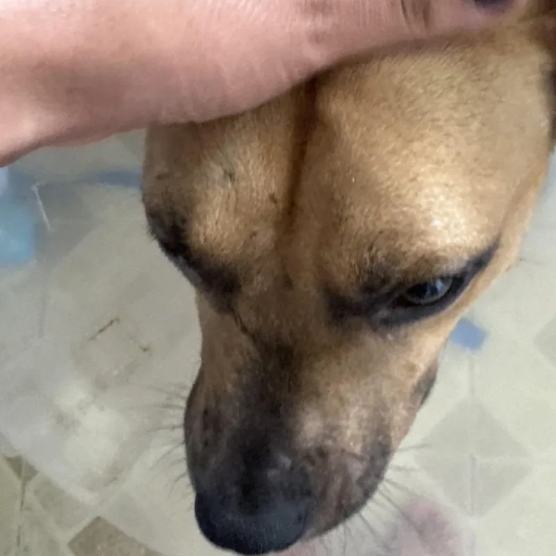 Wink thumbnail 6
