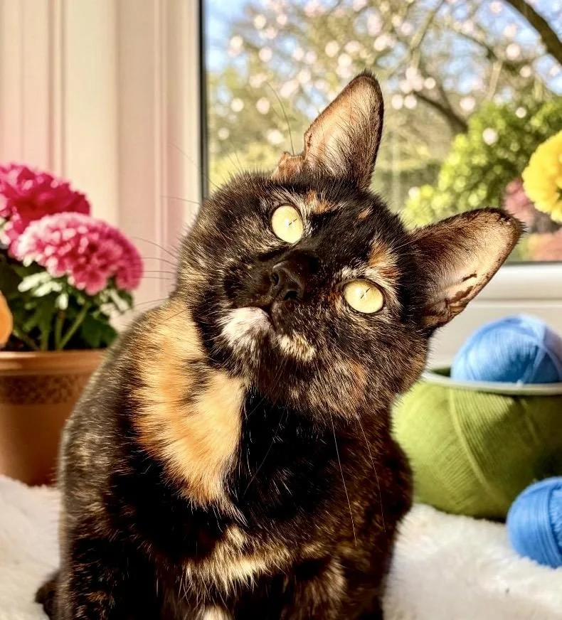 Caramel