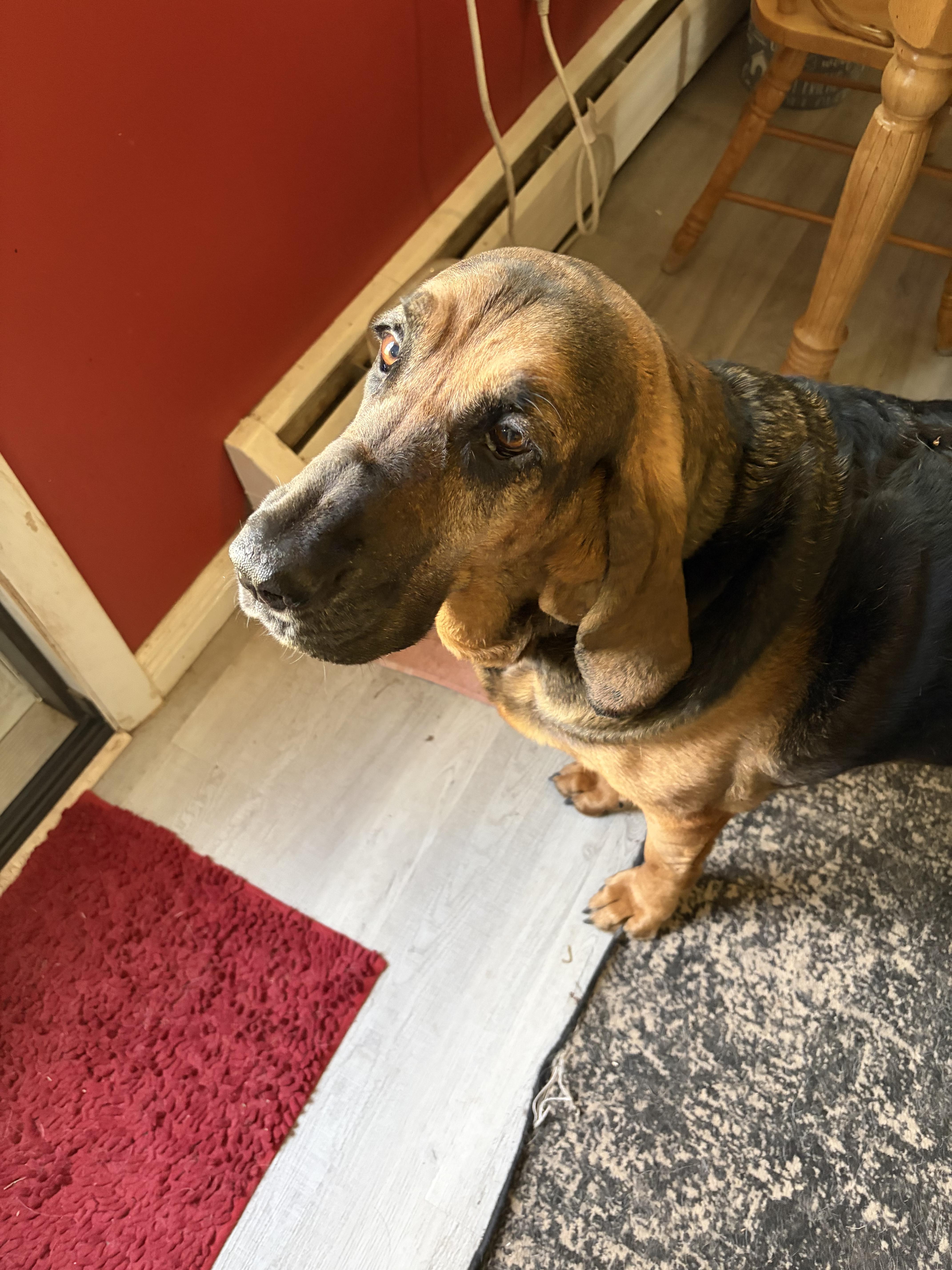 Daisy Mae thumbnail 3