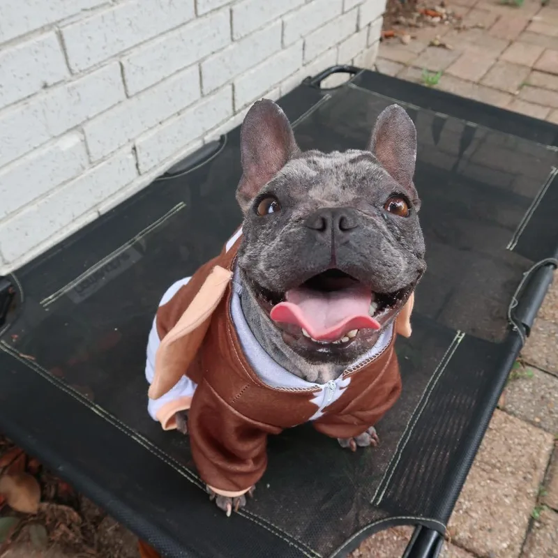 Mogwai